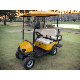 Golf Cart Alien 2+ Sport 3...