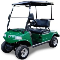 Golf Cart 2 Posti Modello per Campi da Golf Usato | Fabbritek